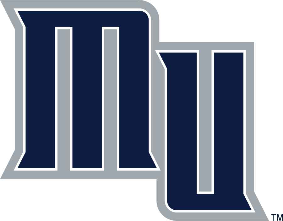 Monmouth Hawks 2003-2014 Secondary Logo v2 diy iron on heat transfer